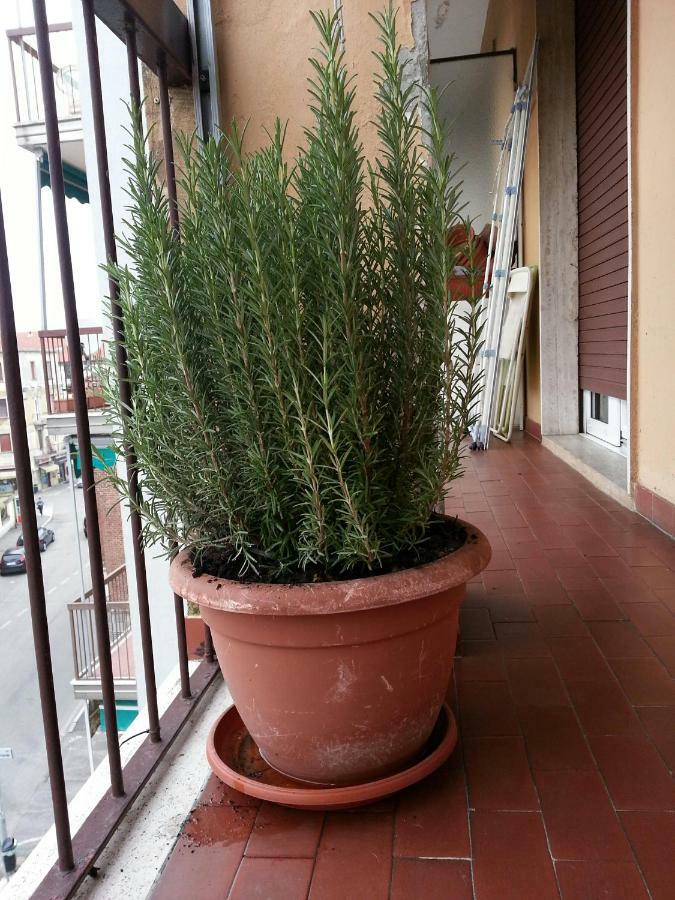 La Via Per Milano Hotel Vigevano Exterior photo
